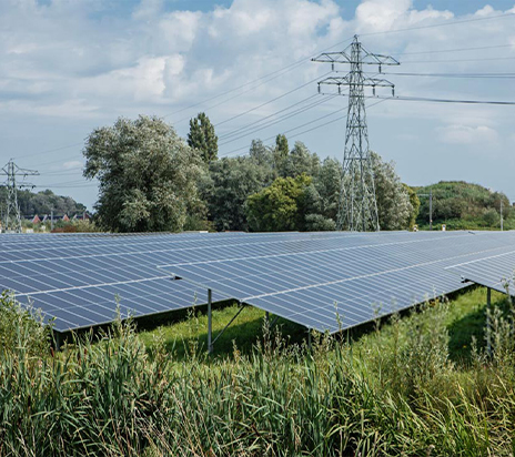 Boden-Solar-Montagehalterung für Solarpanel-Systeme in niedrigen Breiten